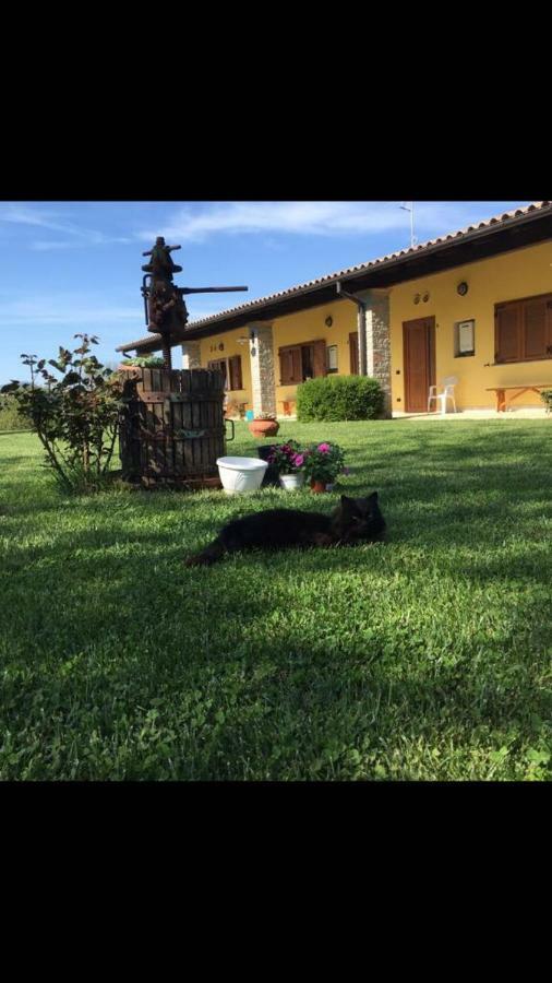Agriturismo La Noce Bassano Romano エクステリア 写真